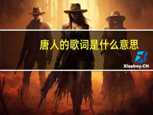 唐人的歌词是什么意思
