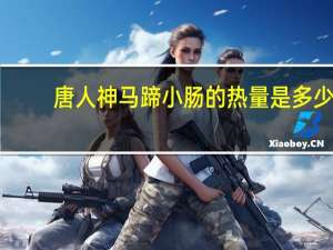 唐人神 马蹄小肠的热量是多少