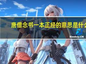 唐僧念书一本正经的意思是什么