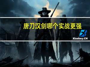 唐刀汉剑哪个实战更强
