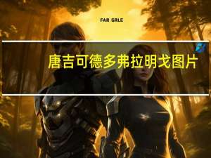 唐吉可德多弗拉明戈图片（唐吉可德多弗拉明戈）