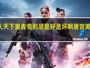 唐宫美人天下里青鸾到底是好是坏啊 唐宫美人天下主题曲