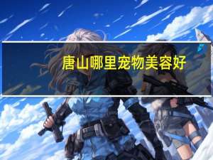唐山哪里宠物美容好