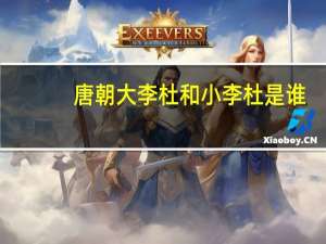 唐朝大李杜和小李杜是谁（大李杜和小李杜是谁）