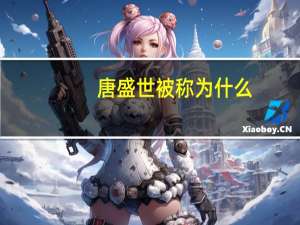 唐盛世被称为什么