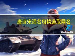 唐诗宋词名句精选取网名（唐诗宋词名句）
