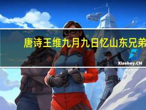 唐诗王维九月九日忆山东兄弟（王维 九月九日忆山东兄弟）