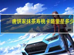 唐饼家 抹茶寿桃卡路里是多少