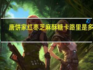 唐饼家 红枣芝麻酥糖卡路里是多少