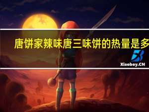 唐饼家 辣味唐三味饼的热量是多少