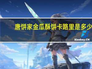 唐饼家 金瓜酥饼卡路里是多少