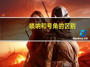 唢呐和号角的区别
