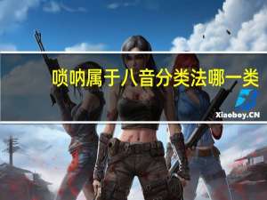 唢呐属于八音分类法哪一类