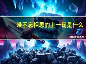 唯不忘相思的上一句是什么