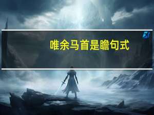 唯余马首是瞻句式