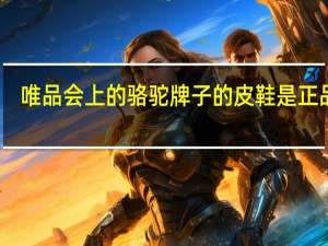 唯品会上的骆驼牌子的皮鞋是正品吗