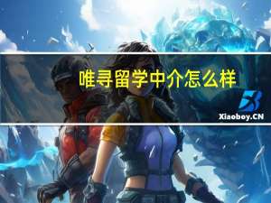唯寻留学中介怎么样