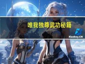 唯我独尊武功秘籍
