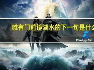 唯有门前镜湖水的下一句是什么