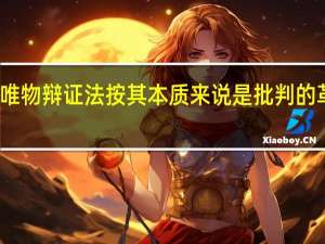 唯物辩证法按其本质来说是批判的革命的（唯物辩证法按其本质来说是）