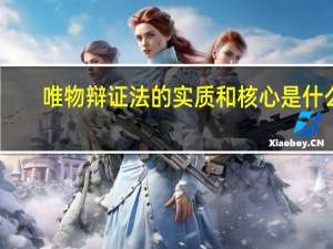 唯物辩证法的实质和核心是什么？