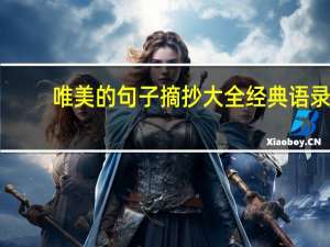 唯美的句子摘抄大全经典语录（唯美的句子摘抄大全）