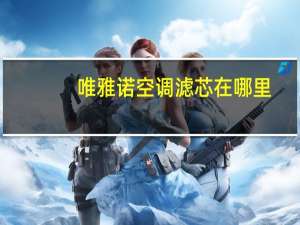 唯雅诺空调滤芯在哪里