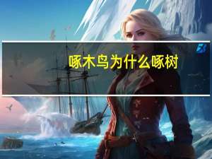 啄木鸟为什么啄树