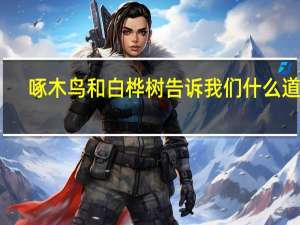 啄木鸟和白桦树告诉我们什么道理