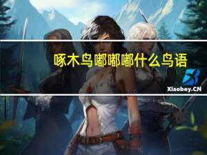 啄木鸟嘟嘟嘟什么鸟语
