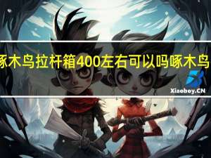 啄木鸟拉杆箱400左右可以吗 啄木鸟拉杆箱
