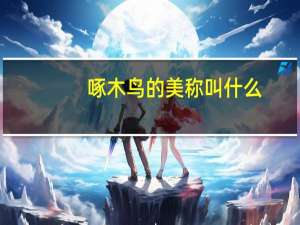 啄木鸟的美称叫什么
