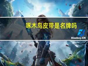 啄木鸟皮带是名牌吗