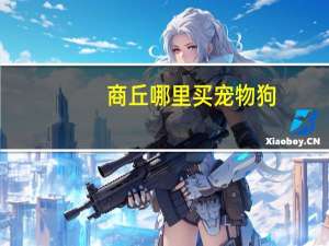 商丘哪里买宠物狗