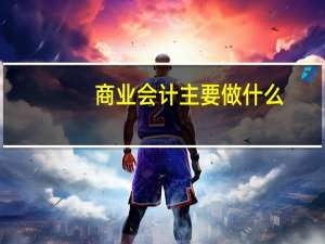 商业会计主要做什么