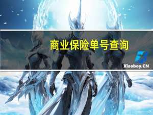 商业保险单号查询（保险单号查询保险公司）