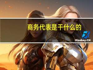 商务代表是干什么的