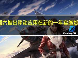 商务税务部门于周六推出移动应用 在新的一年实施货物运输电子道路通行证