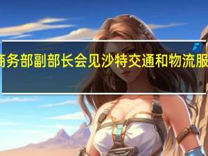 商务部副部长会见沙特交通和物流服务大臣