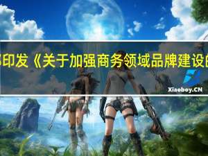 商务部印发《关于加强商务领域品牌建设的指导意见》