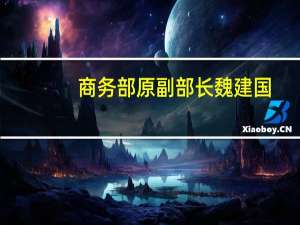 商务部原副部长魏建国：第四季度中国经济将会跑出一个“加速度” 消费也会加快恢复