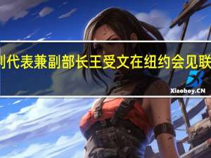 商务部国际贸易谈判代表兼副部长王受文在纽约会见联合国相关发展机构负责人