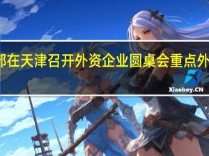 商务部在天津召开外资企业圆桌会重点外资项目专场