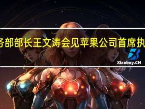 商务部部长王文涛会见苹果公司首席执行官库克