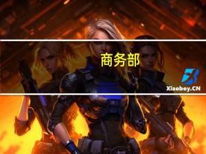 商务部：将提升与“一带一路”共建国家数字领域经贸合作水平