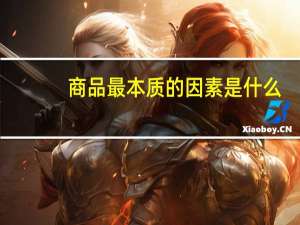商品最本质的因素是什么
