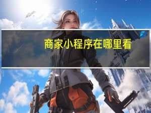 商家小程序在哪里看
