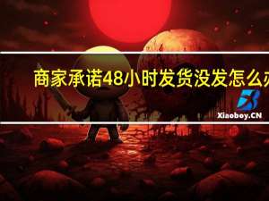 商家承诺48小时发货没发怎么办