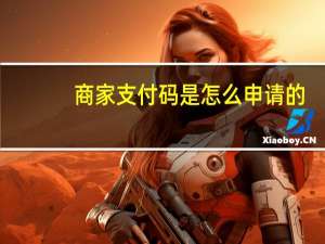 商家支付码是怎么申请的