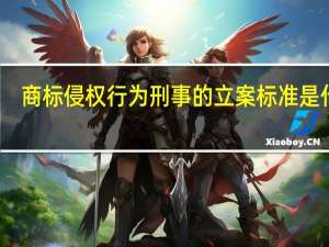 商标侵权行为刑事的立案标准是什么